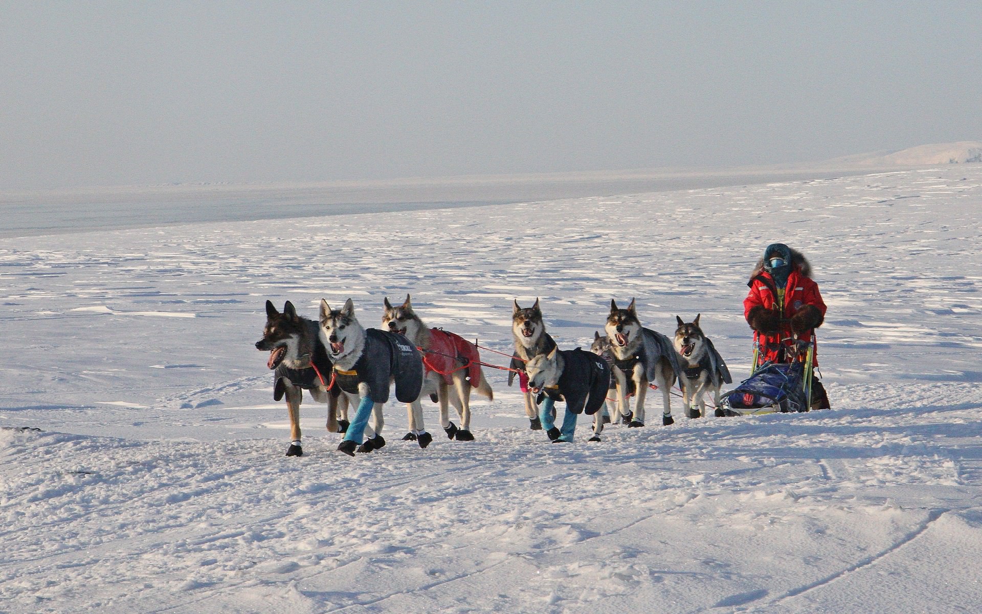 2014 Nadezhda Hope Race, Siberia